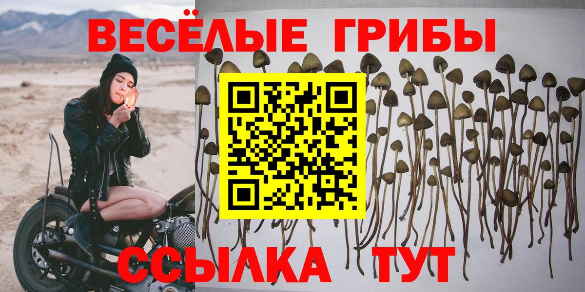 Конопля  Героин  КОКАИН  Alpha-PVP СОЛЬ кристаллы  Меф МЯУ МЯУ   Удомля  Вход с VPN  Гашиш 