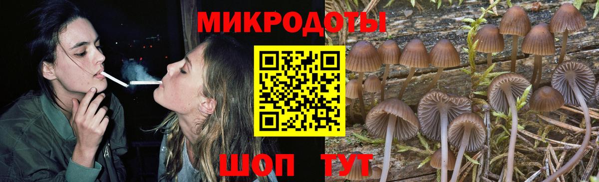 Галлюциногенные грибы Magic Shrooms  Галлюциногенные грибы Psilocybe  Вход с VPN  Удомля 